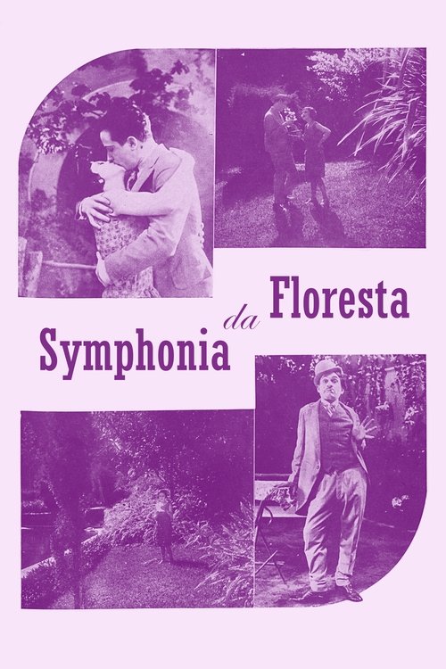 Sinfonia da Floresta movie poster