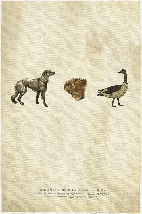 Dog Meet Goose movie poster