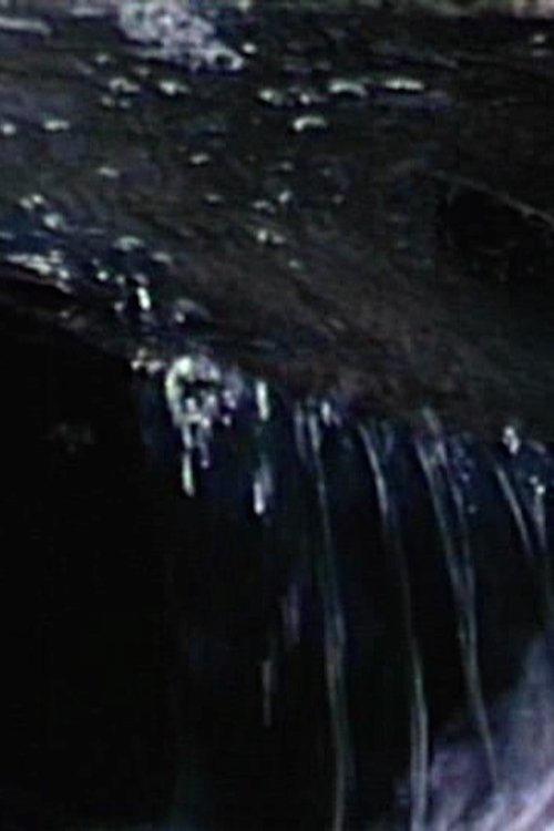 A Dream of Space movie poster