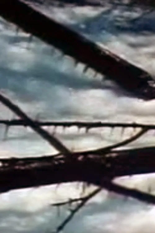 Seasons Project movie poster