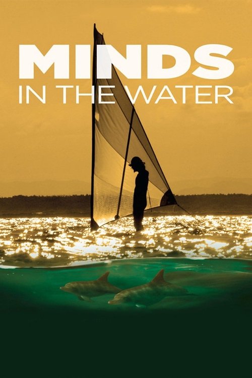 Minds in the Water movie poster