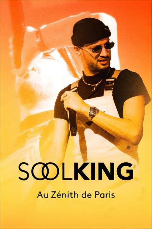Soolking au Zénith movie poster