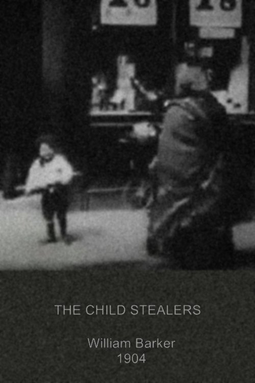 Poster do filme The Kidnapped Child
