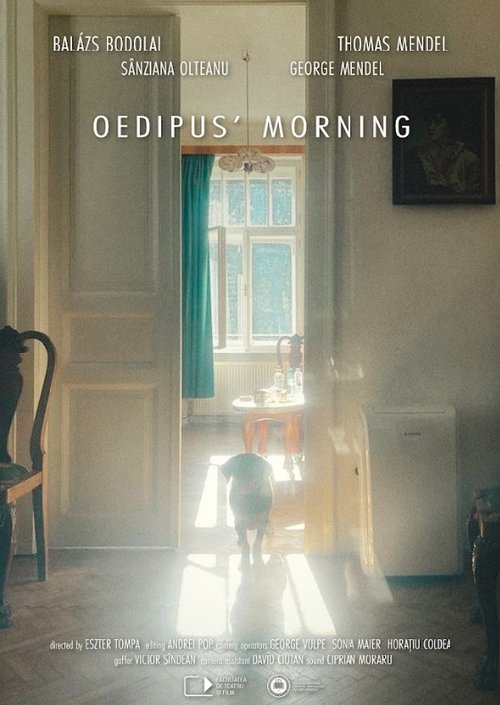 Oedipus' Morning movie poster