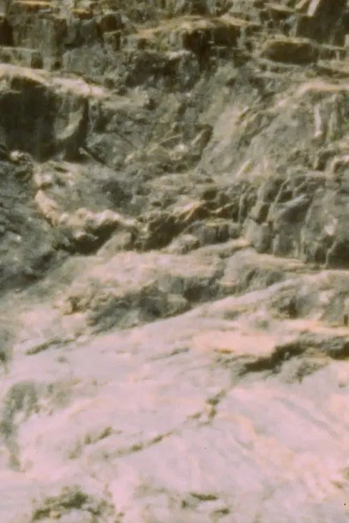 Poster do filme Lucina Annulata