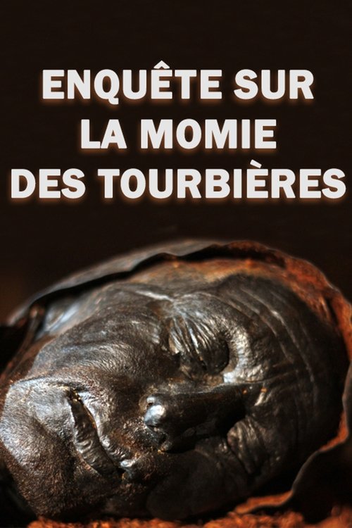 4,000-Year-Old Cold Case: The Body in the Bog movie poster
