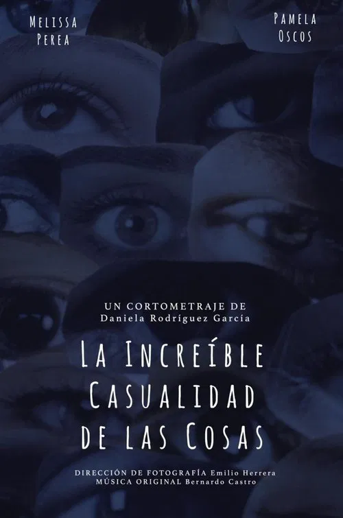 La Increíble Casualidad de las Cosas movie poster