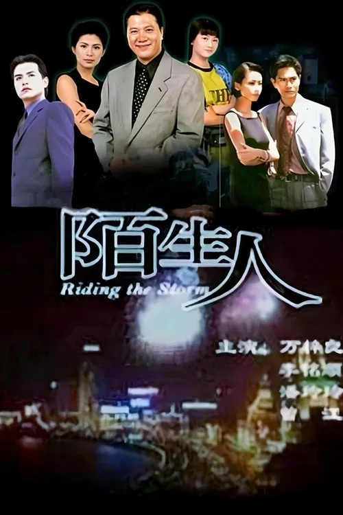 陌生人 tv show poster