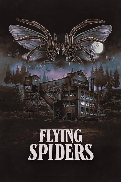 Poster do filme Flying Spiders