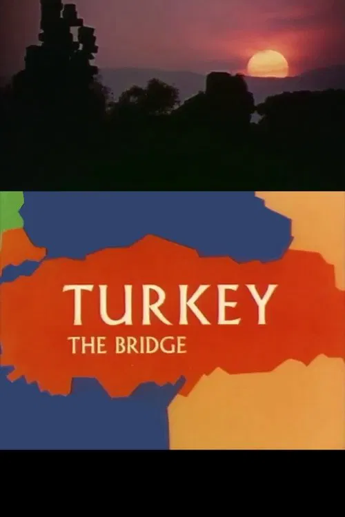 Turkey: The Bridge movie poster