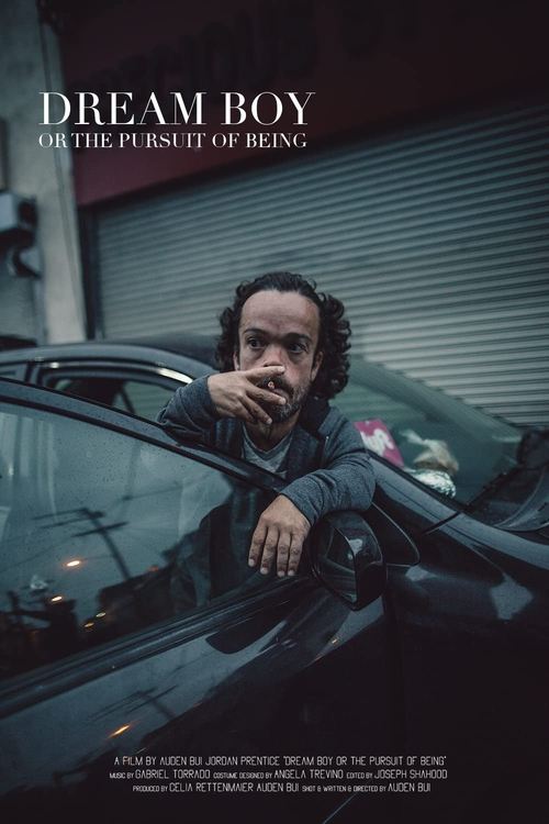 Dream Boy or the Pursuit of Being movie poster