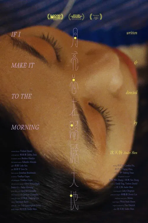 Poster do filme If I Make It to the Morning