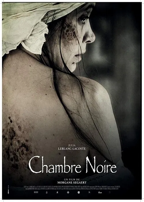 Poster do filme The Dark Room