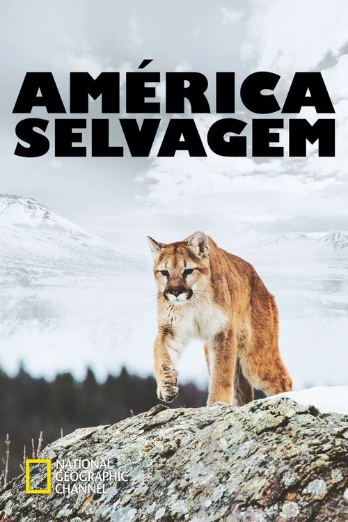 Poster da série América Selvagem