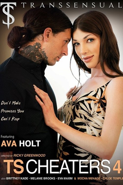 TS CHEATERS 4 movie poster