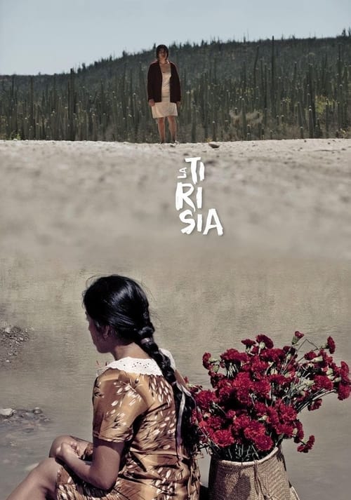 Perpetual Sadness movie poster