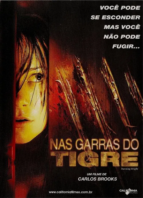 Poster do filme Nas Garras do Tigre