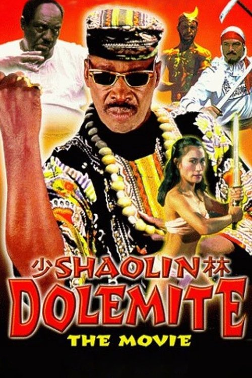 Shaolin Dolemite movie poster