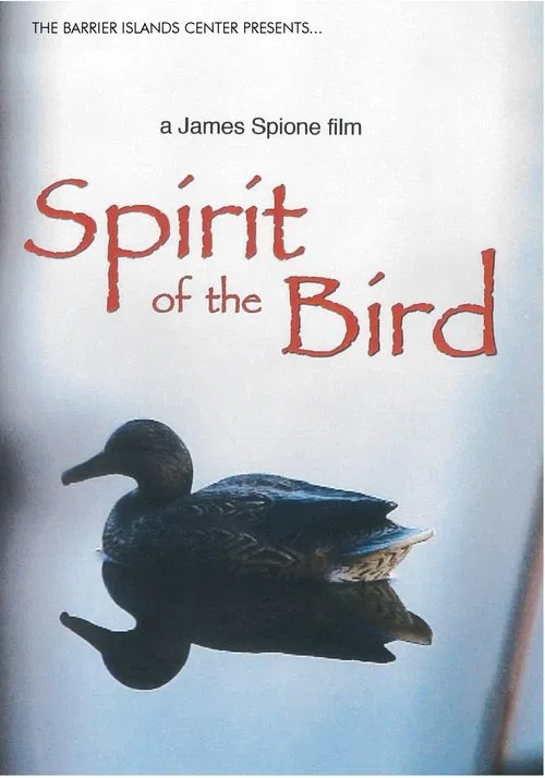 Spirit Of The Bird movie poster