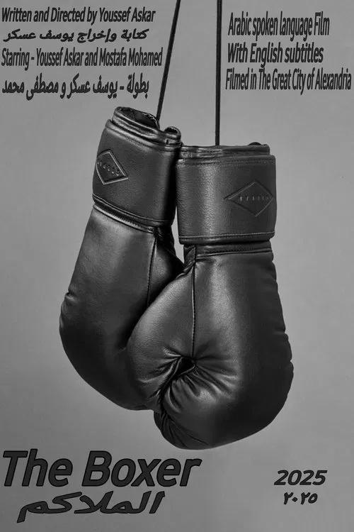 The Boxer movie poster