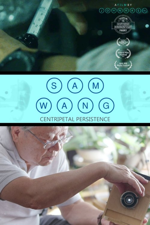 Sam Wang: Centripetal Persistence movie poster
