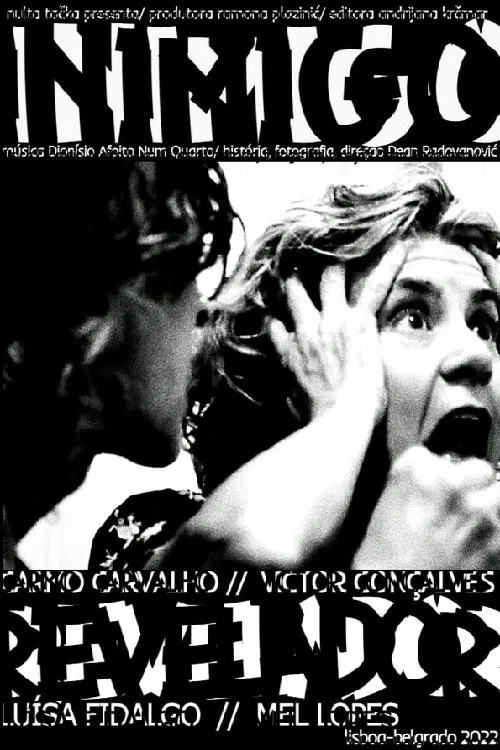 Poster do filme The Enemy's Gift