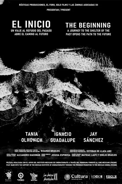 Poster do filme The Beginning