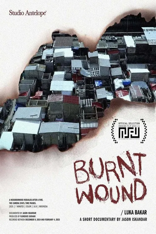 Burnt Wound movie poster