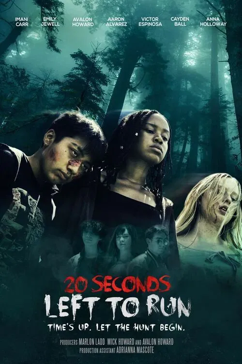 20 Seconds Left to Run movie poster