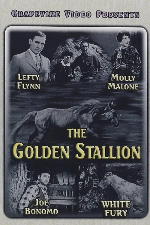 Poster do filme The Golden Stallion