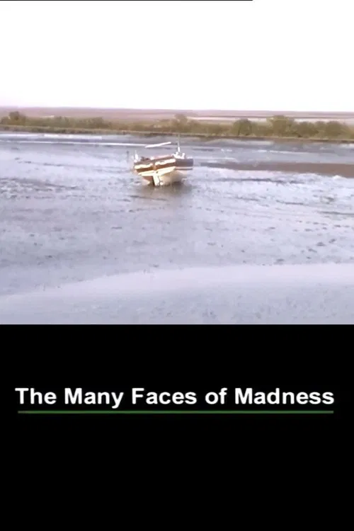 The Many Faces of Madness movie poster