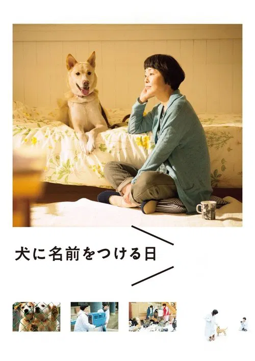 Dogs Without Names movie poster