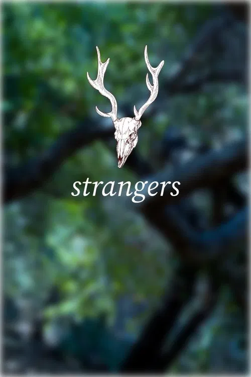Strangers movie poster