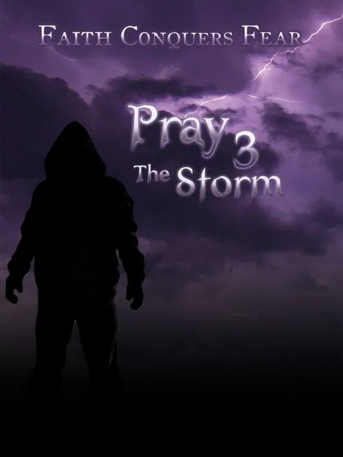 Pray 3D: The Storm movie poster