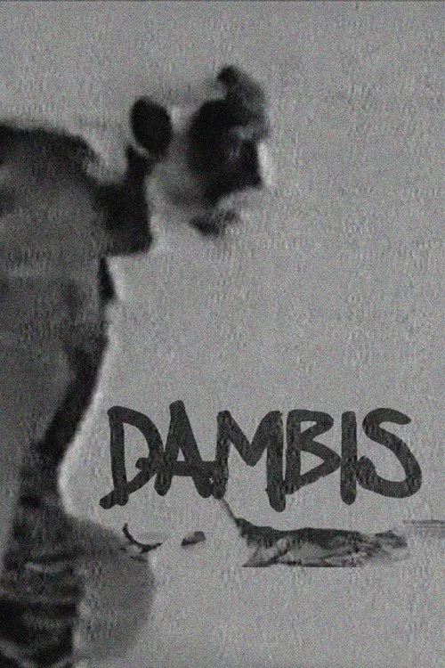 Dambis movie poster
