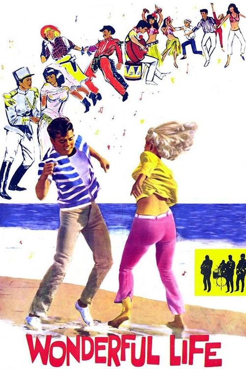 Wonderful Life movie poster