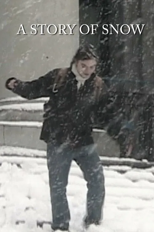 Poster do filme A Story of Snow