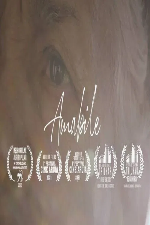 Amabile movie poster