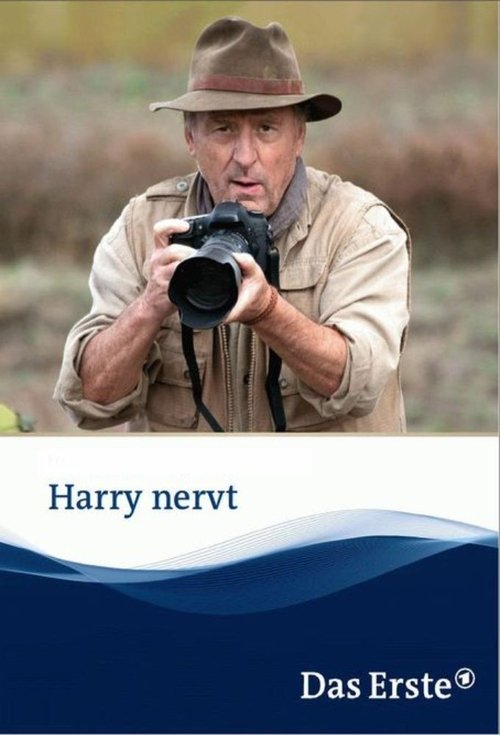 Harry nervt movie poster
