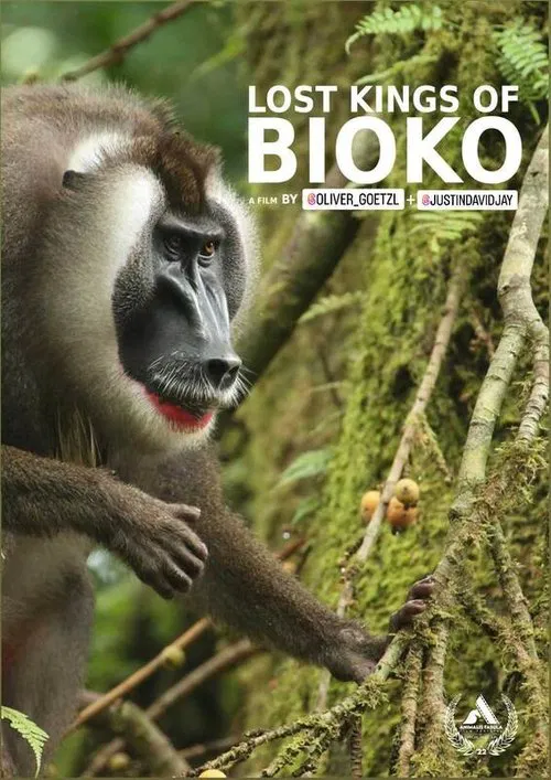 Lost Kings of Bioko movie poster