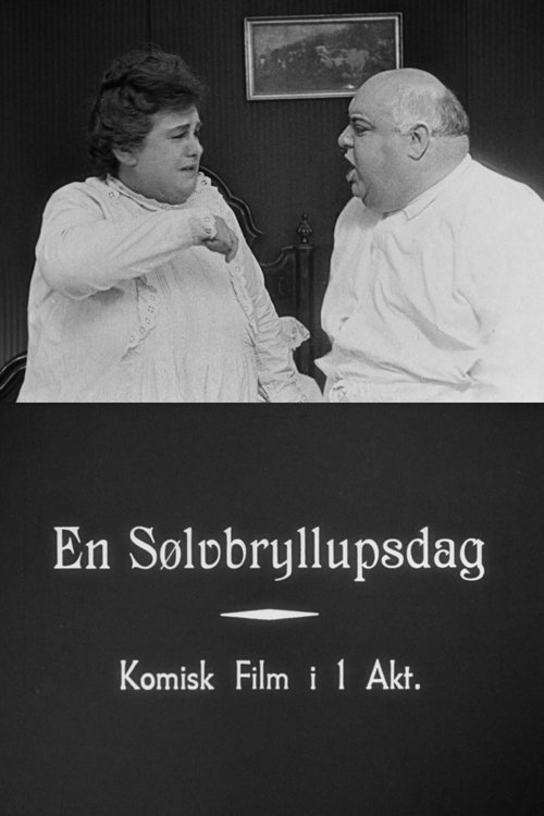 Their Silver Wedding movie poster