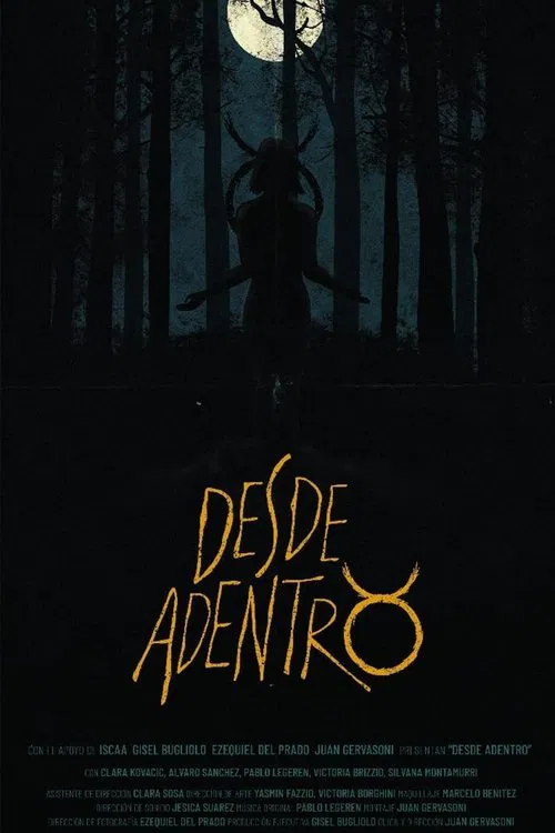 Poster do filme Desde Adentro