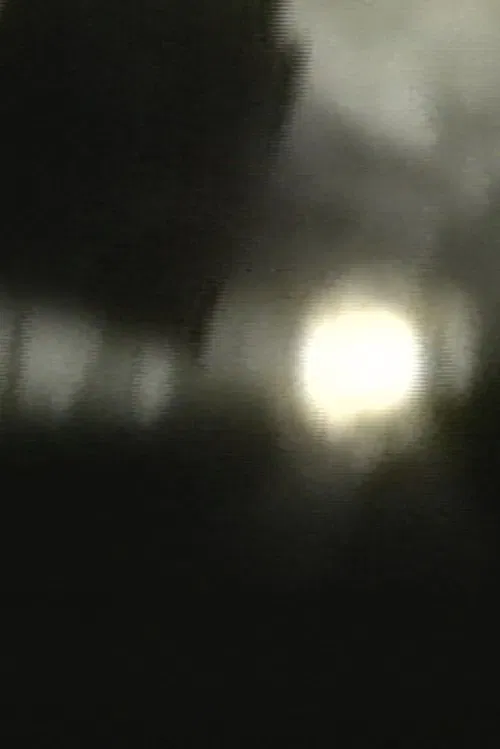 The Bridge movie poster