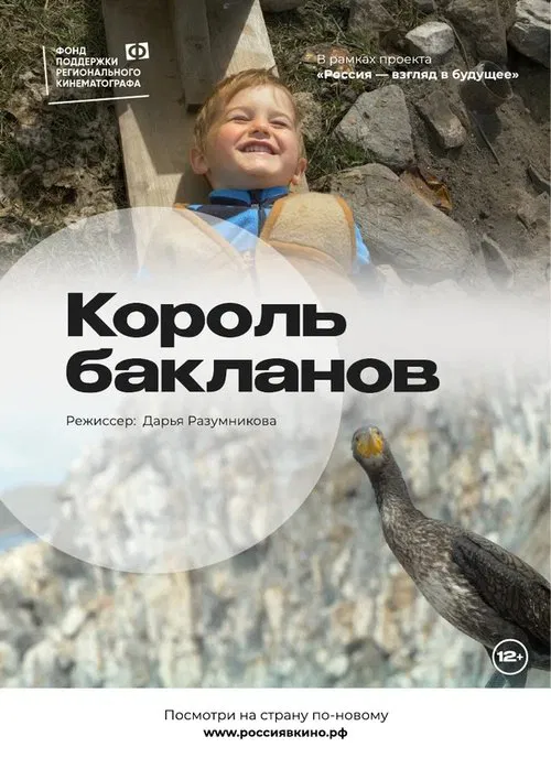 The King of Cormorants movie poster