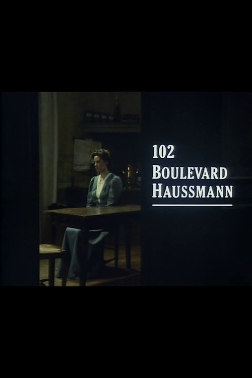 102 Boulevard Haussmann movie poster