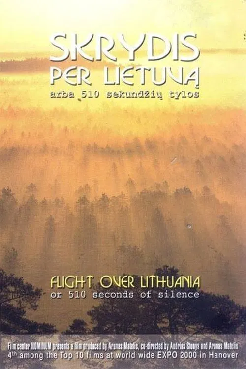 Flight Over Lithuania or 510 Seconds of Silence movie poster