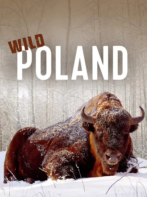Wild Poland movie poster
