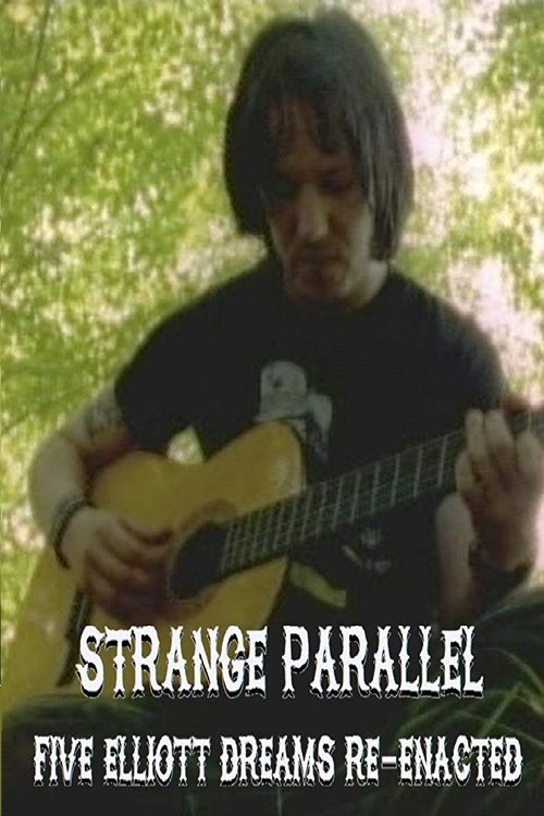 Strange Parallel movie poster