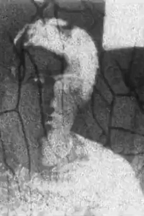 Autoportrait refilmé movie poster