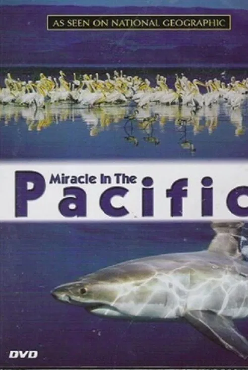 Poster do filme Miracle in the Pacific
